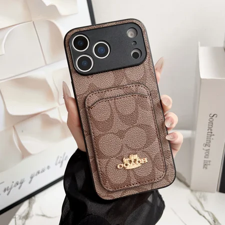 ルイヴィトン  iphone17 ケース 背面 収納